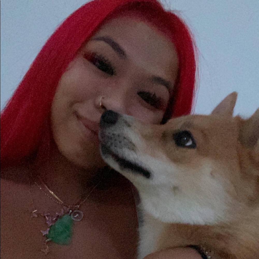 BUNDLES/OFFERS/DISCOUNTS